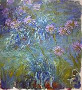 Claude Monet Agapanthus oil painting